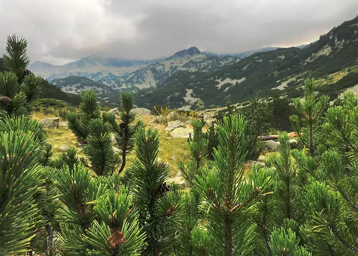 Hotel Ores Boutique Bansko