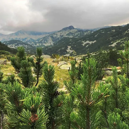 Hotel Ores Boutique Bansko